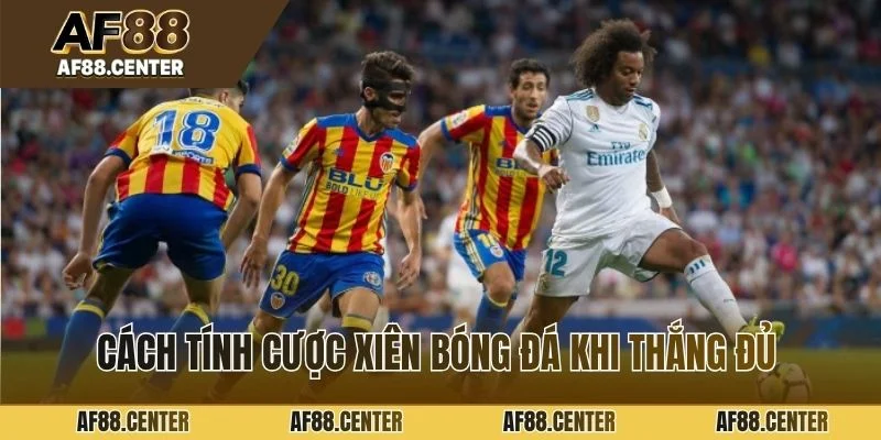 Cách tính cược xiên bóng đá khi thắng đủ