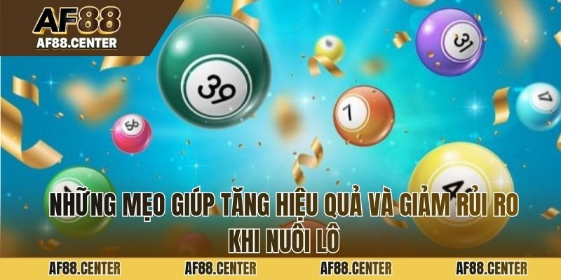 Những mẹo giúp tăng hiệu quả và giảm rủi ro khi nuôi lô